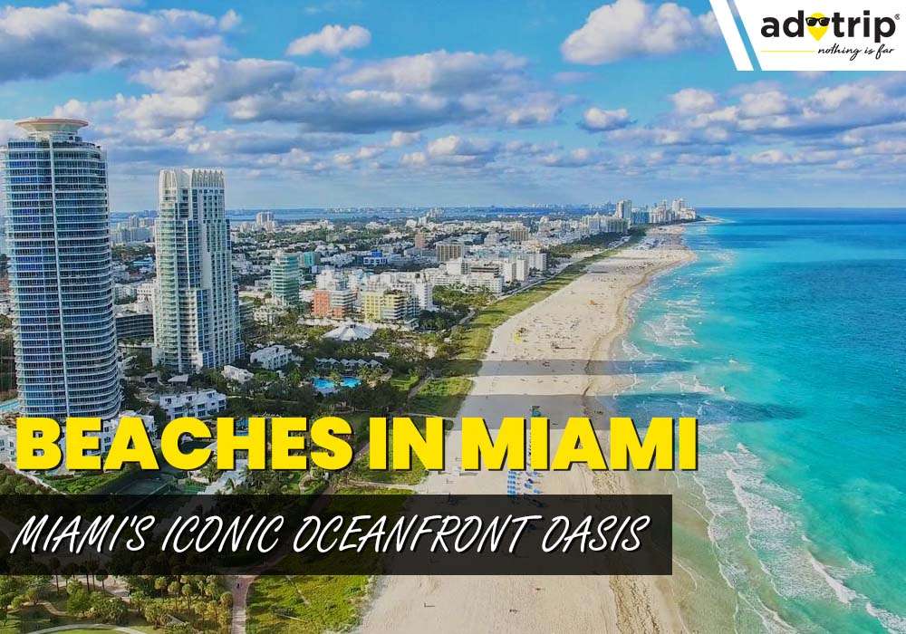 15 Famous Beaches in Miami